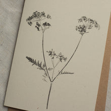 Load image into Gallery viewer, Cow Parsley Botanical Print Greeting Card A6 Recycled 