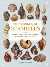 Load image into Gallery viewer, The Wonder Of Seashells