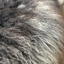 Load image into Gallery viewer, British Rare Breed Sheepskin Hide Unique Large 24100101RB