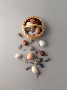 A Dozen Bird Eggs in a Basket