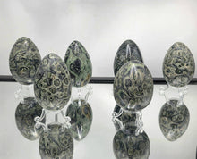 Load image into Gallery viewer, Large Kambaba Jasper Eggs