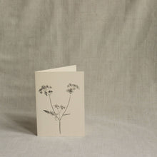 Load image into Gallery viewer, Cow Parsley Botanical Print Greeting Card A6 Recycled 