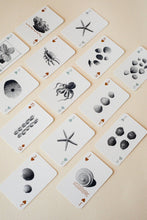 Load image into Gallery viewer, By The Sea Playing Cards