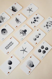 By The Sea Playing Cards