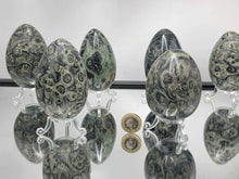 Load image into Gallery viewer, Large Kambaba Jasper Eggs