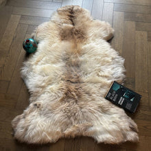 Load image into Gallery viewer, British Rare Breed Sheepskin Hide Unique Large 241127-07RB