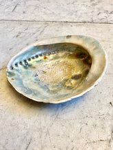 Load image into Gallery viewer, Abalone Dish